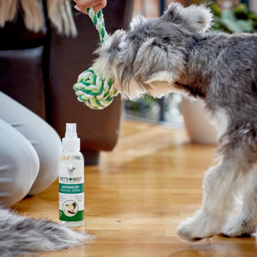 Vet's Best Advanced dental pršilo in zobna nitka