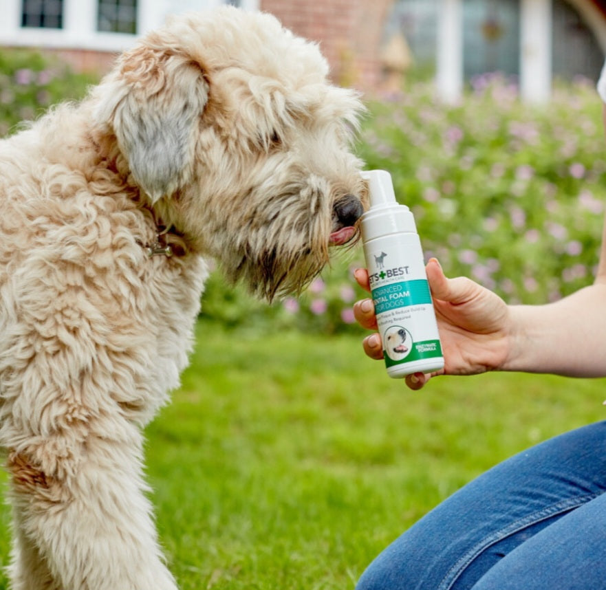 Vet's Best dentalna pena z encimi, 150ml