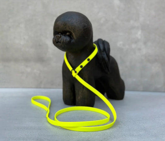 Yellow BioThane Loop Leash