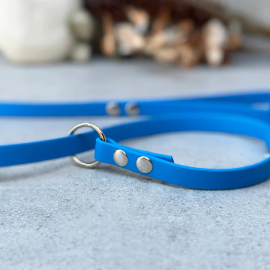 Blue BioThane Loop Leash