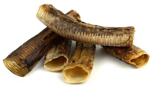 NOJEVI SAPNIKI - 5 KOM